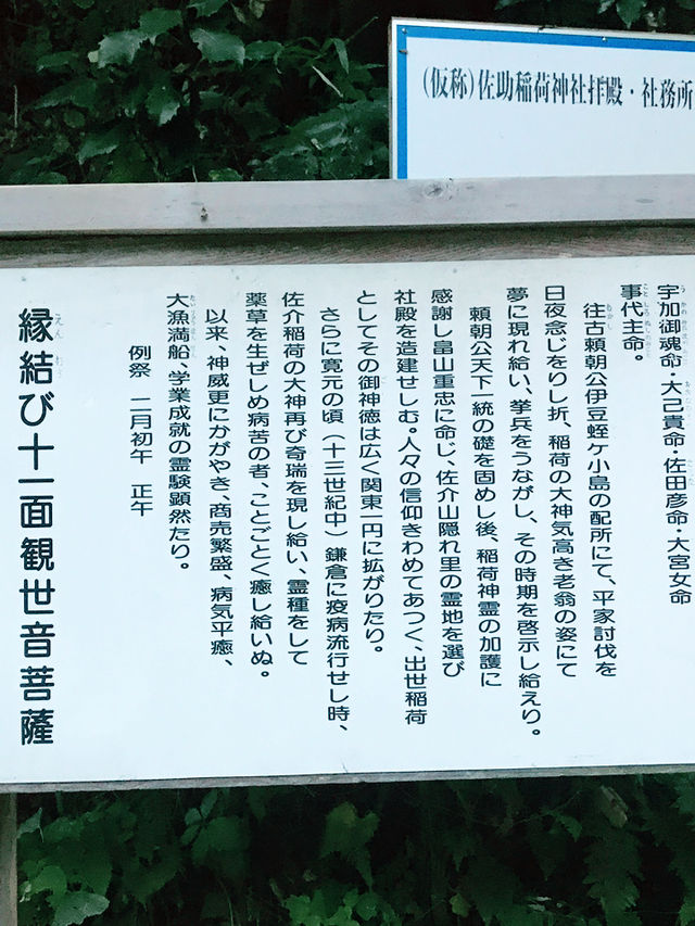 【鎌倉　佐助稲荷神社から源氏山へのライトトレッキング】