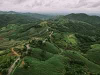 ขับรถเที่ยวหน้าฝน… ชมวิวถนนลอยฟ้า​ 