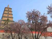 🇨🇳 เจดีย์ห่านป่าใหญ่ (Giant Wild Goose Pagoda)
