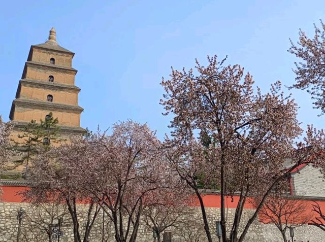 🇨🇳 เจดีย์ห่านป่าใหญ่ (Giant Wild Goose Pagoda)