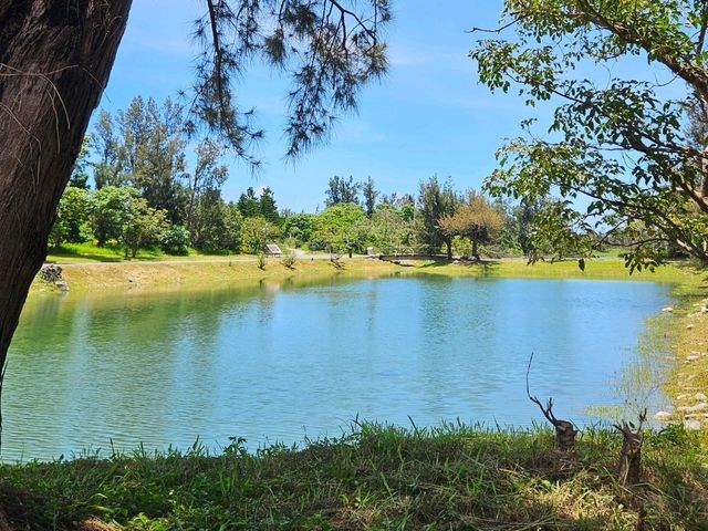 恍如仙境的台東森林公園琵琶湖