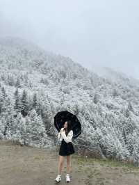 Chengdu 6Days Travel Guide 