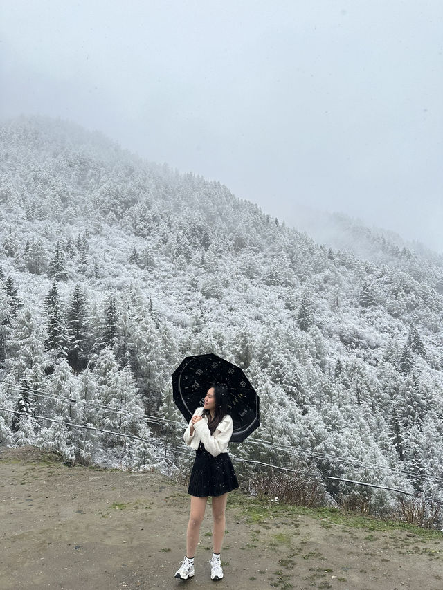 Chengdu 6Days Travel Guide 