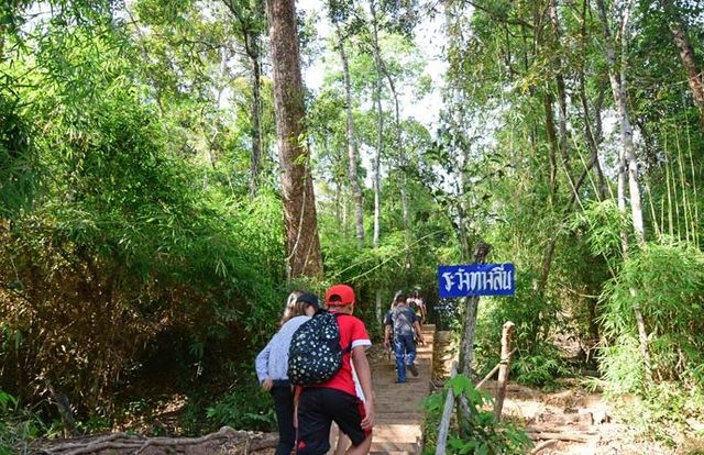🌳💦น้ำตกถ้ำพระเซกา จังหวัดบึงกาฬ🌞🚙
