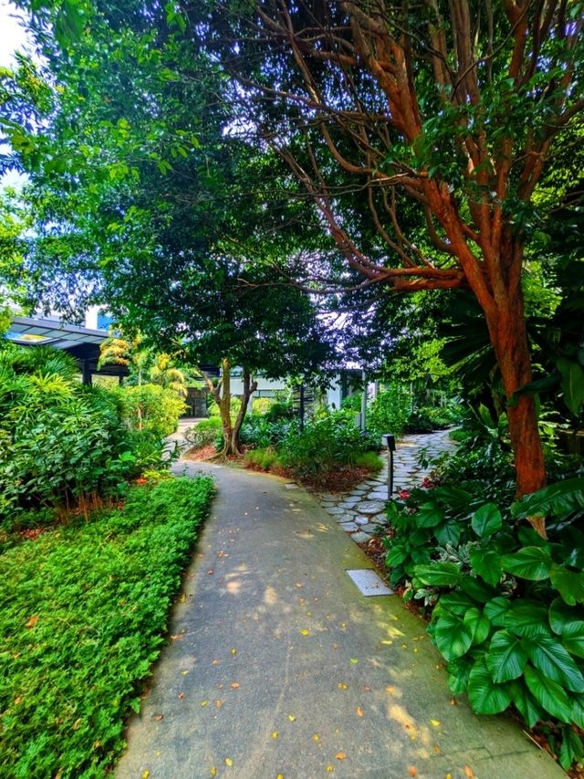 A Resort in A Park? - It's All A Mirage