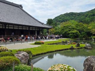Kyoto Highlights in One Day! Unforgettable Arashiyama & Gion Day Trip