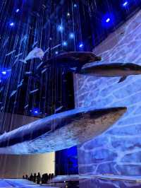 Guangdong Museum – Layers of Culture Under One Roof