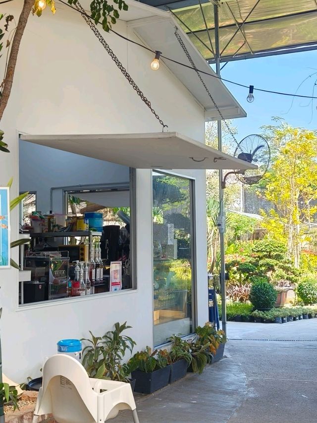 Secret Garden Cafe in Desaru: Budget Daydream Come True