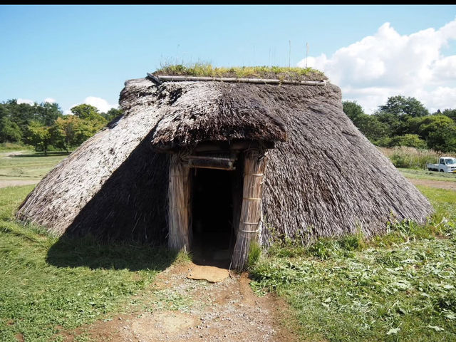 🎯【青森・三内丸山遺跡】1万年以上前の鼓動が響く、縄文の森でタイムスリップ体験
