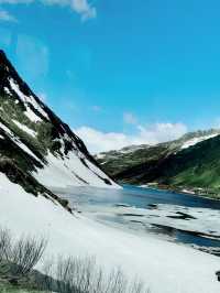 Summer on the Scenic Glacier Express: From Zermatt to St. Moritz