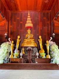 🙏 : วัดป่าคลอง 11 ไหว้พระปทุมธานี