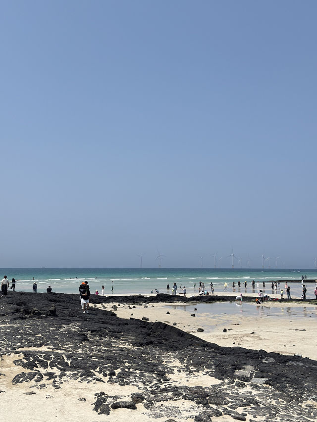 🌊 제주도 바다 여행기