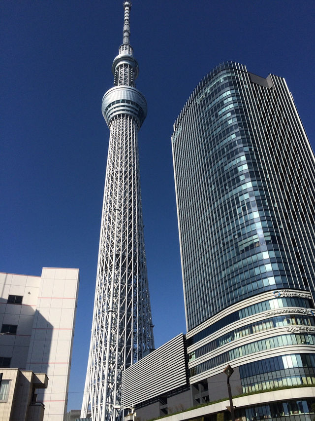  晴空塔 是東京很重要的一個地標 也是電視台的訊號塔