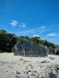 🐢小琉球探秘：海龜、珊瑚與慢活島嶼生活