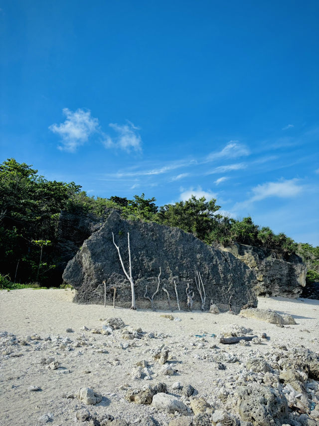 🐢小琉球探秘：海龜、珊瑚與慢活島嶼生活