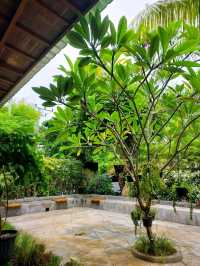 ☕ : O’sea Coffee and Eatery คาเฟ่บาหลี อินโดนีเซีย
