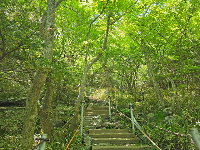 제주 2박 3일 코스