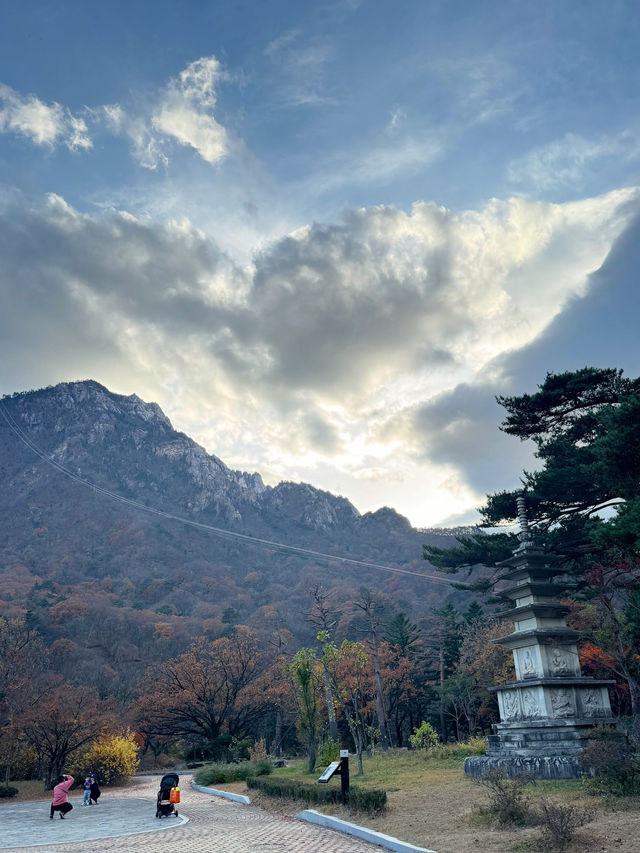 🍁 설악산 당일치기 여행기 – 단풍, 케이블카, 신흥사까지 완벽 루트!