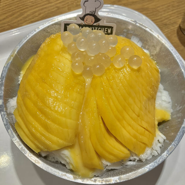 🚄빵과 추억으로 가득 찬 대전 당일치기 여행 (성심당부터 꿈돌이 하우스까지!)