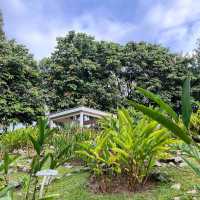 Putrajaya Botanical Gardens