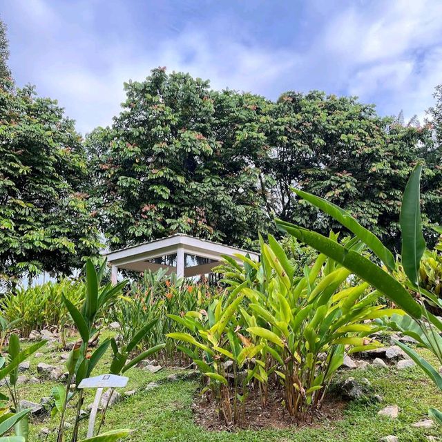 Putrajaya Botanical Gardens