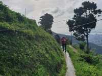 Bukit Bendera (Penang Hill – via hiking)