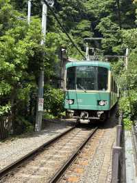 こんな景色が見れるなんて！日本の無人島と長谷寺あじさい