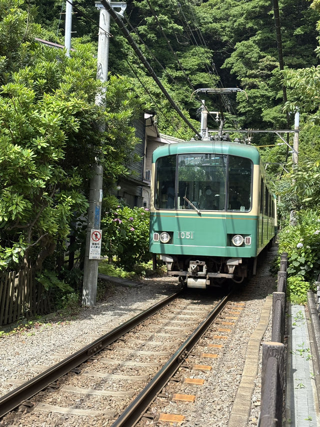 こんな景色が見れるなんて！日本の無人島と長谷寺あじさい