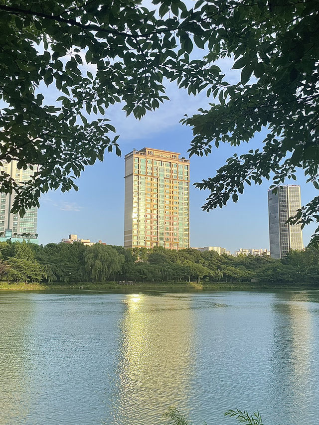 🌇 잠실에서 보내는 하루, 서울 도심 속 여유
