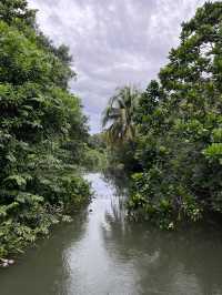 Kingfisher Wetlands: Hidden Gem of Nature at Gardens by the Bay