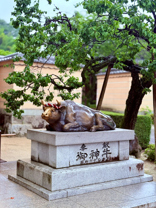 太宰府天滿宮& 九州國立博物館