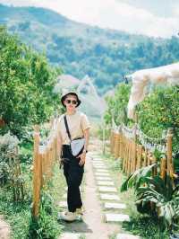 สวนส้มจินจู JINJU the orange farm 