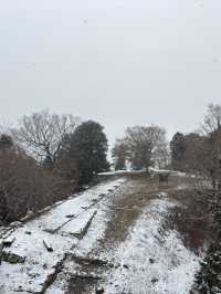 津和野城跡（需搭纜車）