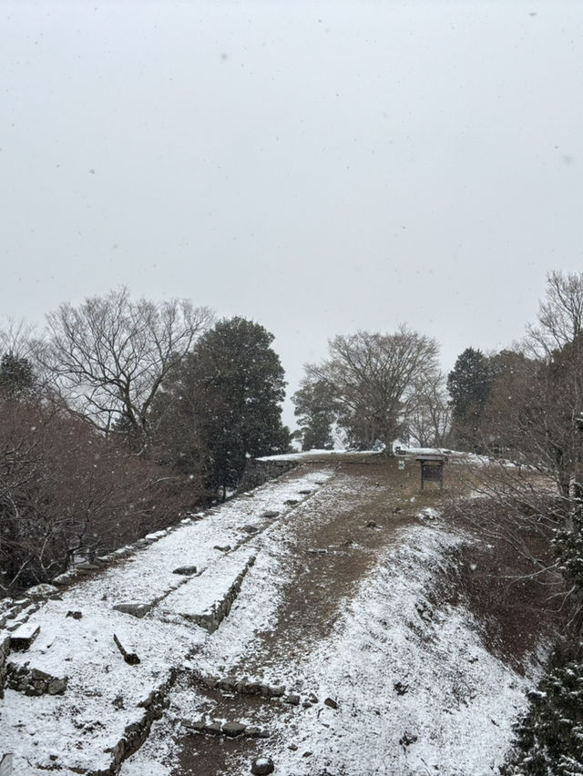 津和野城跡（需搭纜車）