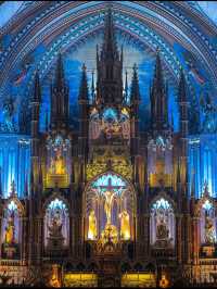 ⛪【光と祈りの空間へ！ノートルダム聖堂で心が震える瞬間】