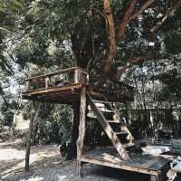 🌲 Yoo Pha – อยู่ป่า แต่ไม่โดดเดี่ยว  
