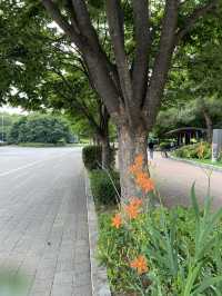 올림픽 공원의 조각들
