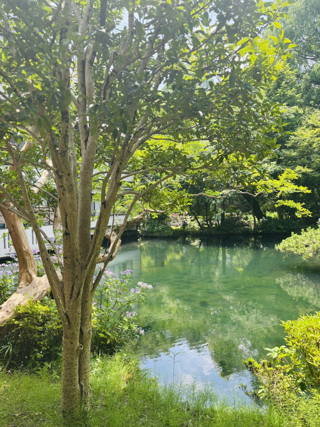 深大寺🇯🇵参道は食べ歩きに最適🍡⟡.·