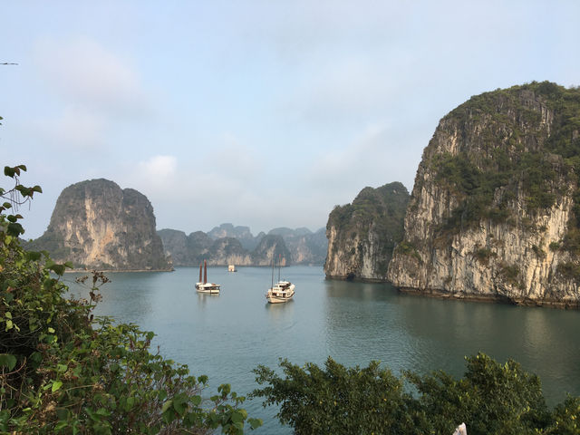 🚢🌿 Sailing Through a Dream: My Halong Bay Cruise Experience