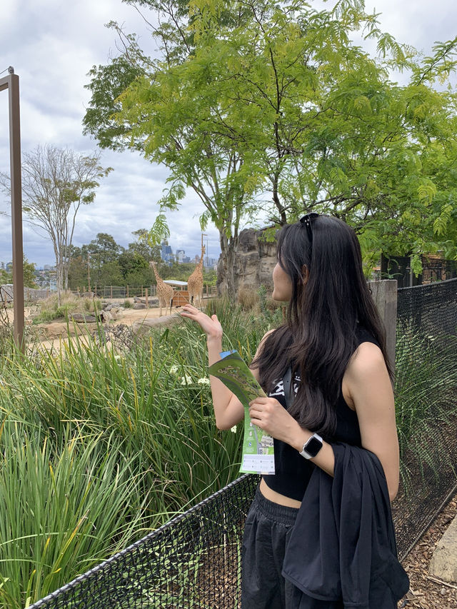 여름 시드니를 추천하는 이유 🇦🇺❤️