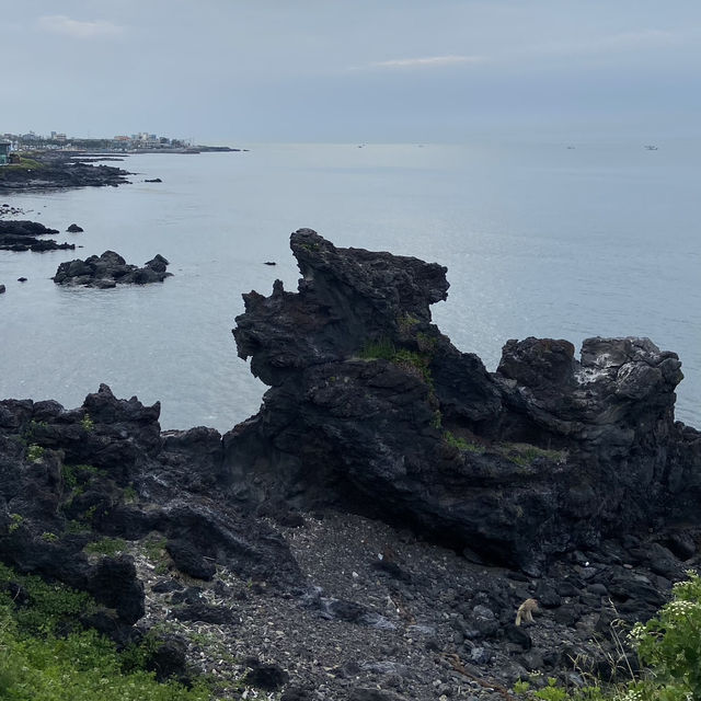 Rocking the Summer: Yongduam Rock