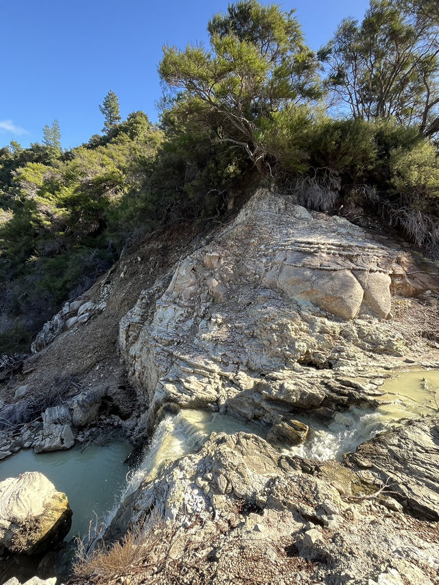 🥑紐西蘭「牛油果硫磺泉」爆美打卡｜Wai‑o‑Tapu Devil’s Bath 全攻略 