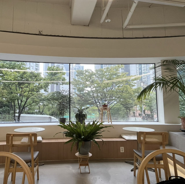 부산 경성대 카페 여유로운 공간 스칼라독스