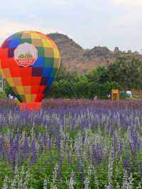 Move to Mountain Garden Cafe
