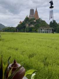 รักษ์คันนา กาญจนบุรี ก๋วยเตี๋ยวห้อยขาทุ่งนาข้างวัด