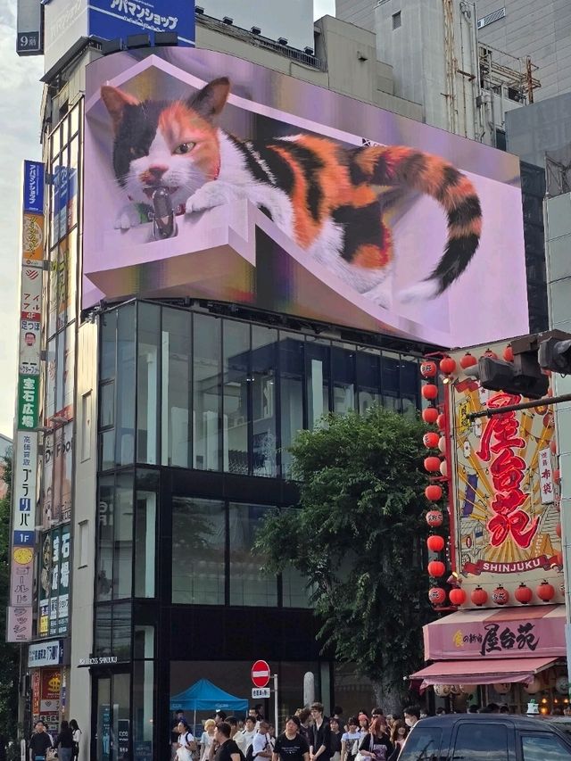 Unleashing Tokyo's Shinjuku magic ✨👏! 🐱💕 Foodie heaven, Godzilla's roar, and kindness galore❤️.