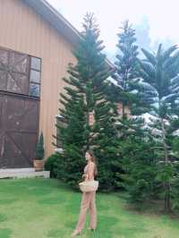 Barn Café - บาร์น คาเฟ่ คลองสวน สมุทรปราการ