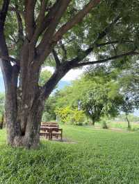 No cafe just coffee คาเฟ่อยุธยา