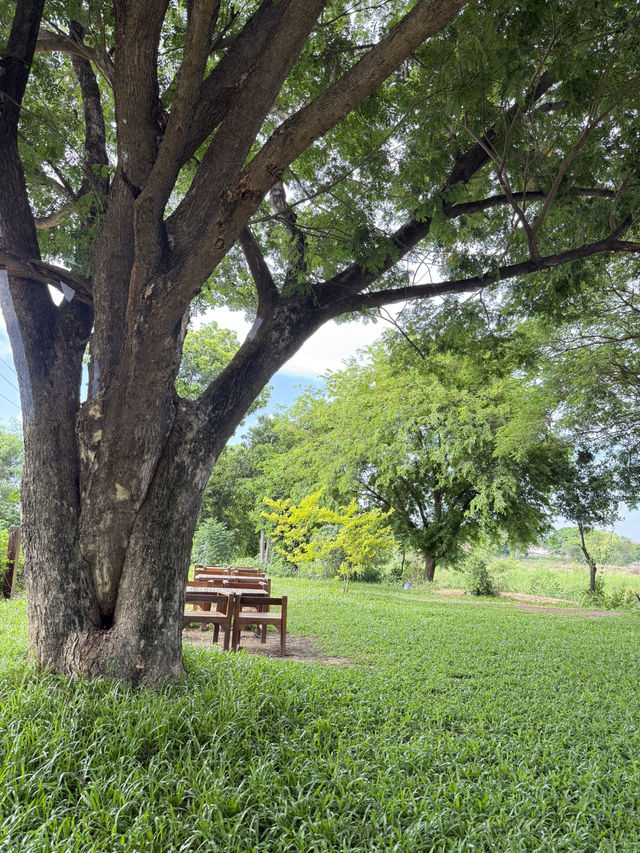 No cafe just coffee คาเฟ่อยุธยา
