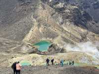 紐西蘭旅遊景點—🩵 Blue Lake 一圈剛剛好：在湖光山色裡呼吸森林